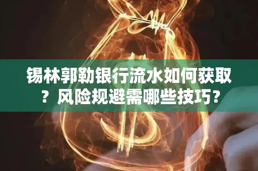 锡林郭勒银行流水如何获取?风险规避需哪些技巧?