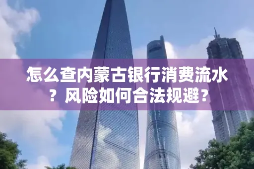 怎么查内蒙古银行消费流水?风险如何合法规避?