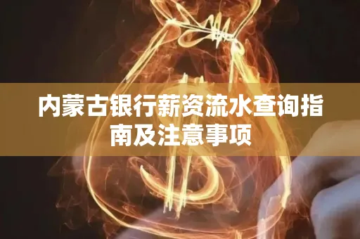 内蒙古银行薪资流水查询指南及注意事项
