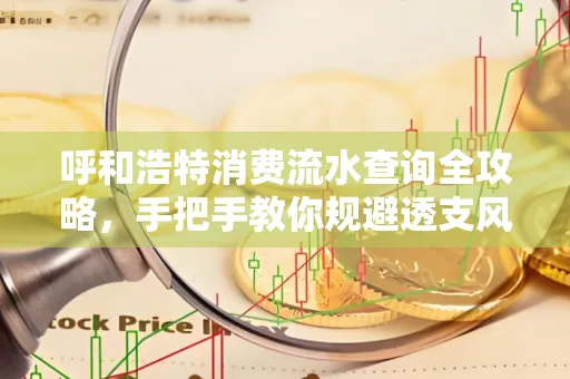 呼和浩特消费流水查询全攻略,手把手教你规避透支风险