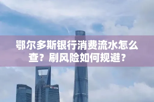 鄂尔多斯银行消费流水怎么查?刷风险如何规避?
