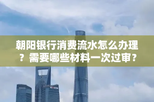 朝阳银行消费流水怎么办理?需要哪些材料一次过审?