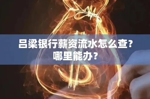 吕梁银行薪资流水怎么查?哪里能办?