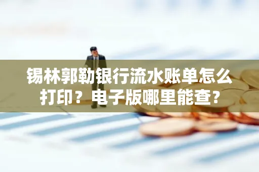 锡林郭勒银行流水账单怎么打印?电子版哪里能查?