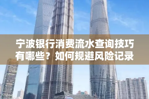 宁波银行消费流水查询技巧有哪些?如何规避风险记录?