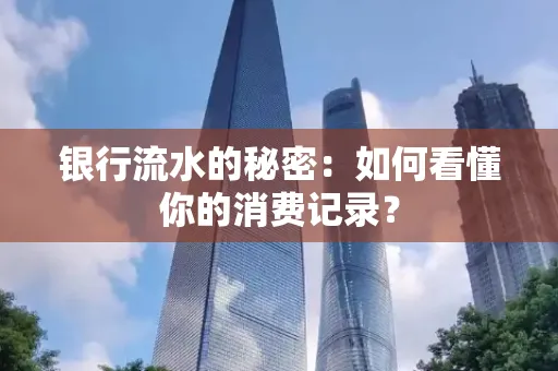 银行流水的秘密:如何看懂你的消费记录?