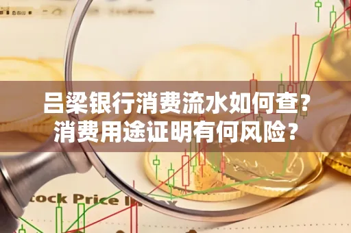 吕梁银行消费流水如何查?消费用途证明有何风险?