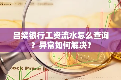 吕梁银行工资流水怎么查询?异常如何解决?