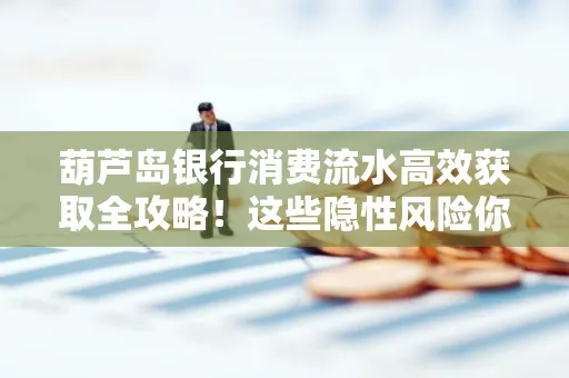 葫芦岛银行消费流水高效获取全攻略!这些隐性风险你必须知道