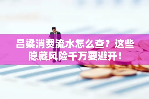 吕梁消费流水怎么查?这些隐藏风险千万要避开!