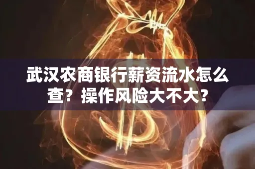 武汉农商银行薪资流水怎么查?操作风险大不大?