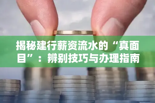 揭秘建行薪资流水的“真面目”:辨别技巧与办理指南大公开