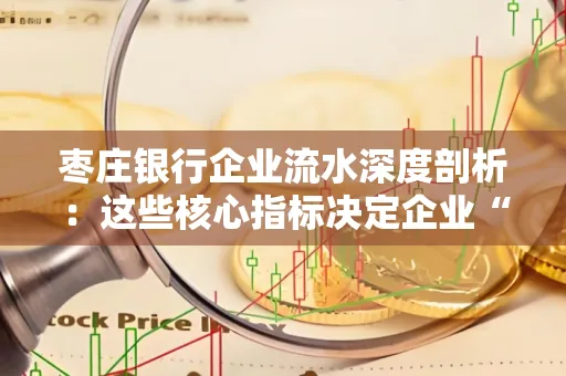 枣庄银行企业流水深度剖析:这些核心指标决定企业“钱袋子”健康度