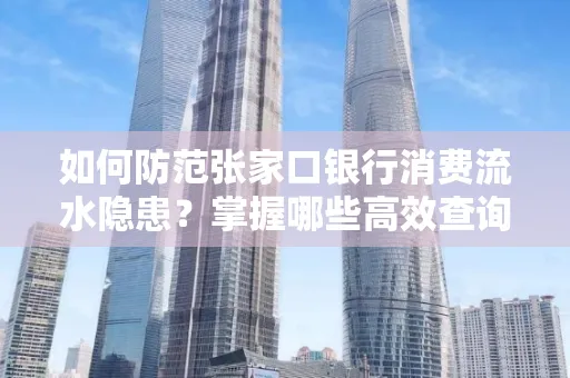 如何防范张家口银行消费流水隐患?掌握哪些高效查询技巧?